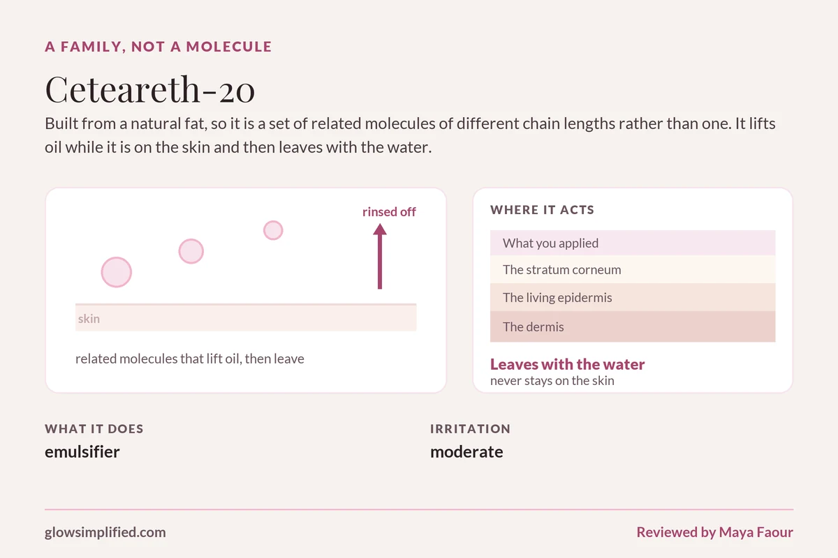 Ceteareth-20: A family, not a molecule. Built from a natural fat, so it is a set of related molecules of different chain lengths rather than one. It lifts oil while it is on the skin and then leaves with the water.
