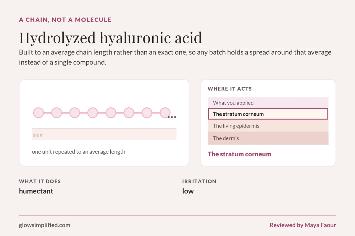 Hydrolyzed hyaluronic acid: A chain, not a molecule. Built to an average chain length rather than an exact one, so any batch holds a spread around that average instead of a single compound.