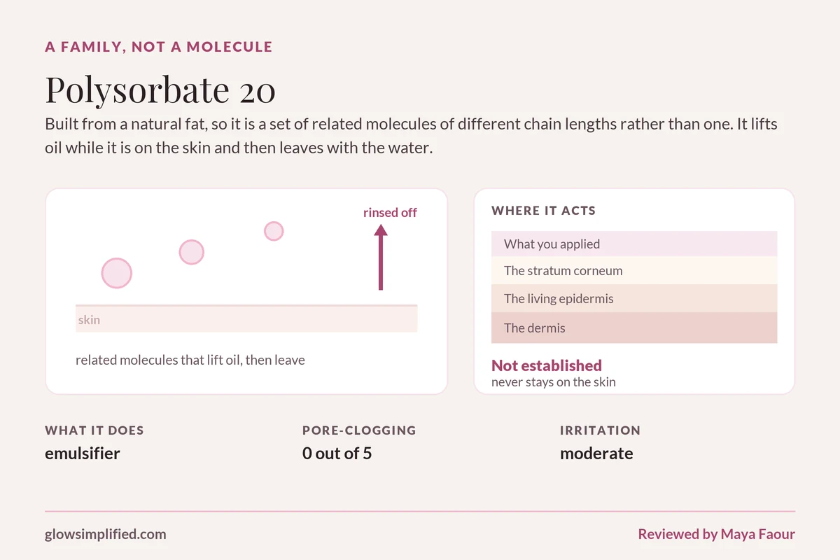 Polysorbate 20: A family, not a molecule. Built from a natural fat, so it is a set of related molecules of different chain lengths rather than one. It lifts oil while it is on the skin and then leaves with the water.