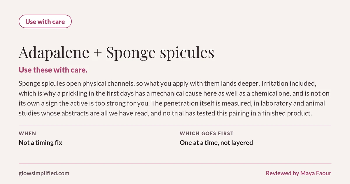 Adapalene and Sponge spicules: Use with care. Use these with care. Sponge spicules open physical channels, so what you apply with them lands deeper. Irritation included, which is why a prickling in the first days has a mechanical cause here as well as a chemical one, and is not on its own a sign the active is too strong for you. The penetration itself is measured, in laboratory and animal studies whose abstracts are all we have read, and no trial has tested this pairing in a finished product. Which goes first: One at a time, not layered.