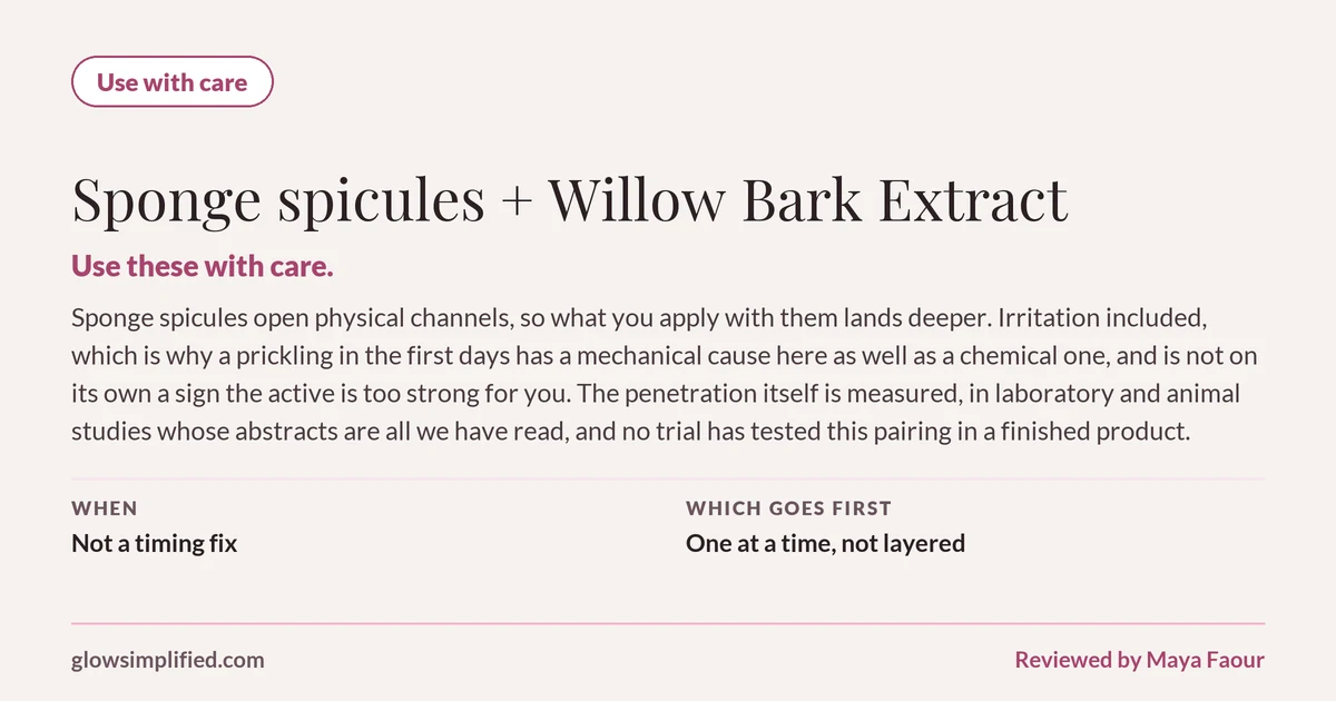 Sponge spicules and Willow Bark Extract: Use with care. Use these with care. Sponge spicules open physical channels, so what you apply with them lands deeper. Irritation included, which is why a prickling in the first days has a mechanical cause here as well as a chemical one, and is not on its own a sign the active is too strong for you. The penetration itself is measured, in laboratory and animal studies whose abstracts are all we have read, and no trial has tested this pairing in a finished product. Which goes first: One at a time, not layered.