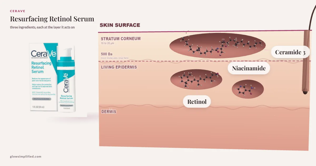 CeraVe Resurfacing Retinol Serum: Ceramide 3, Niacinamide, Retinol drawn in a cross-section of skin, each at the layer it acts on