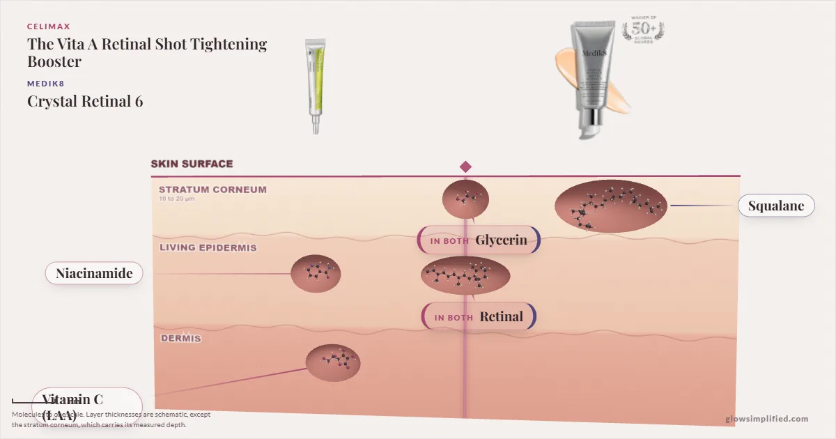 Celimax The Vita A Retinal Shot Tightening Booster and Medik8 Crystal Retinal 6: their molecules drawn in one cross-section of skin, shared ingredients on the seam