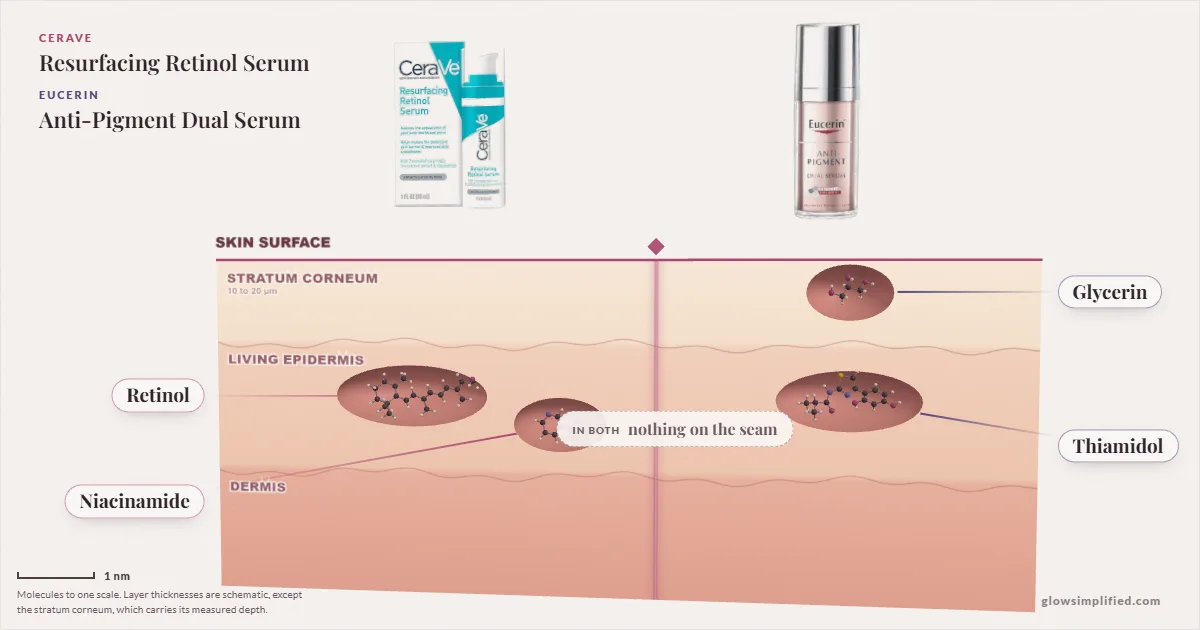 CeraVe Resurfacing Retinol Serum and Eucerin Anti-Pigment Dual Serum: their molecules drawn in one cross-section of skin, shared ingredients on the seam