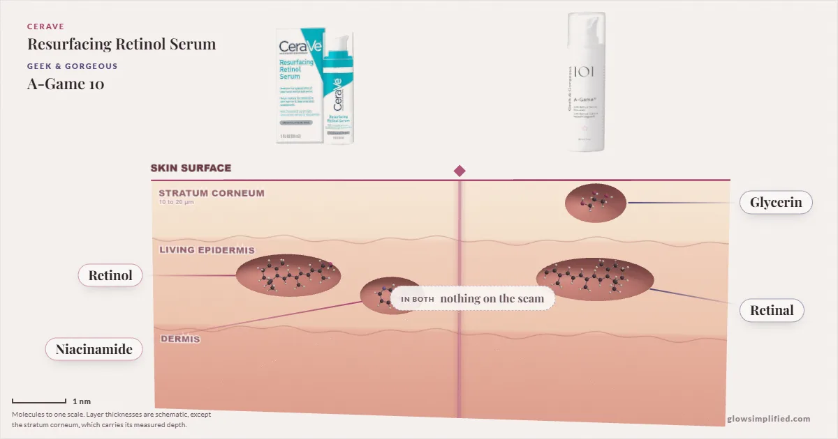 CeraVe Resurfacing Retinol Serum and Geek & Gorgeous A-Game 10: their molecules drawn in one cross-section of skin, shared ingredients on the seam