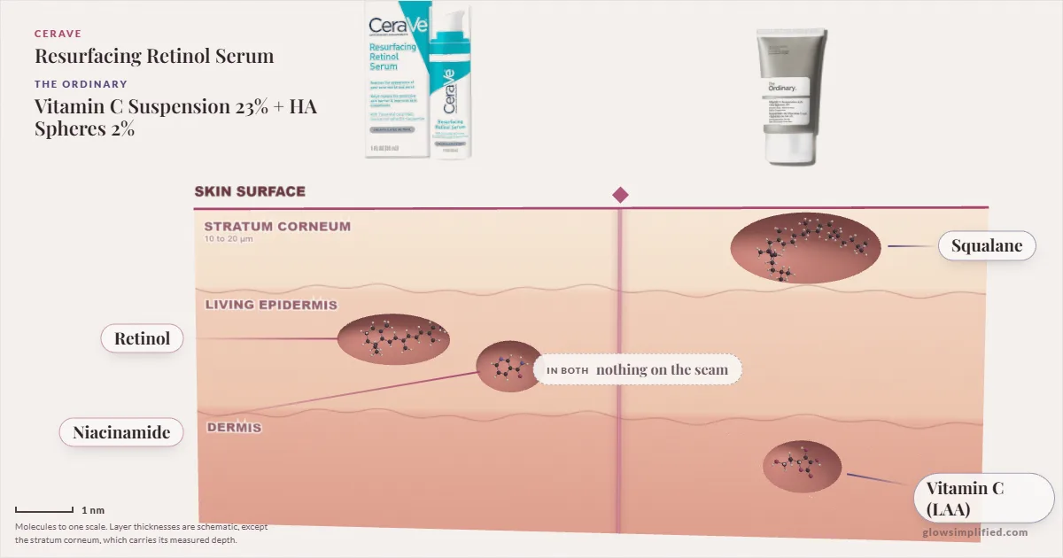 CeraVe Resurfacing Retinol Serum and The Ordinary Vitamin C Suspension 23% + HA Spheres 2%: their molecules drawn in one cross-section of skin, shared ingredients on the seam