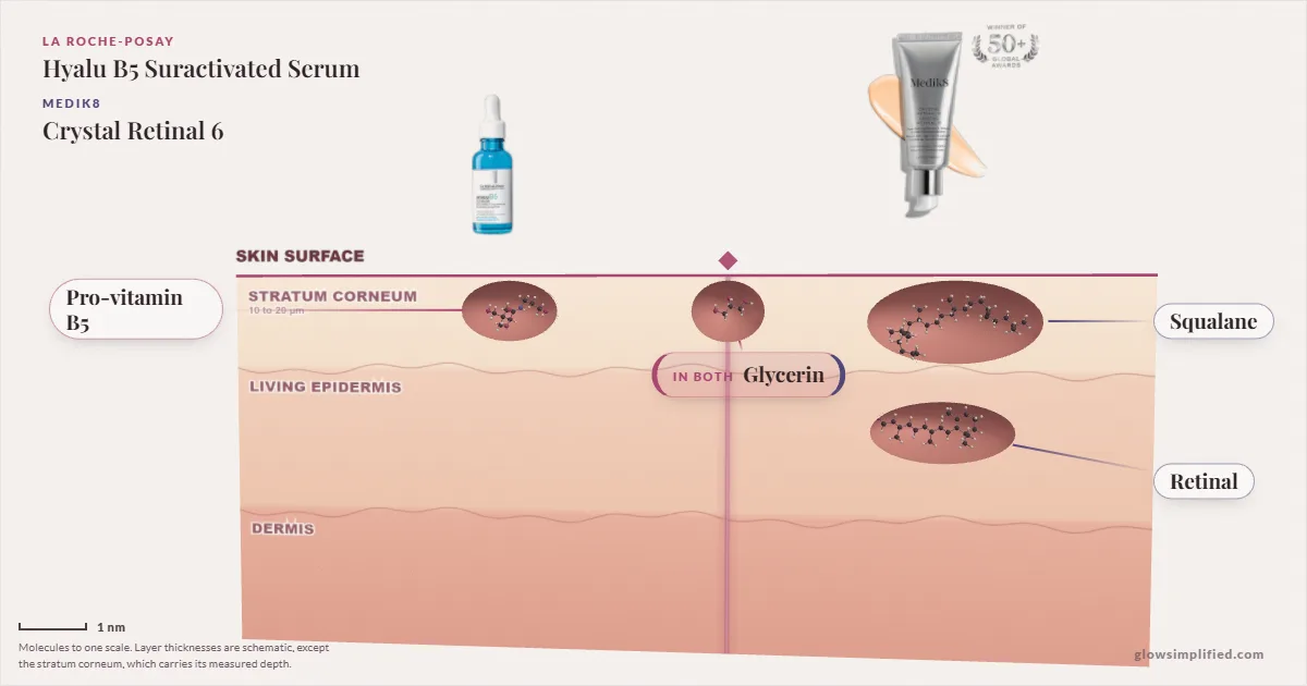 La Roche-Posay Hyalu B5 Suractivated Serum and Medik8 Crystal Retinal 6: their molecules drawn in one cross-section of skin, shared ingredients on the seam