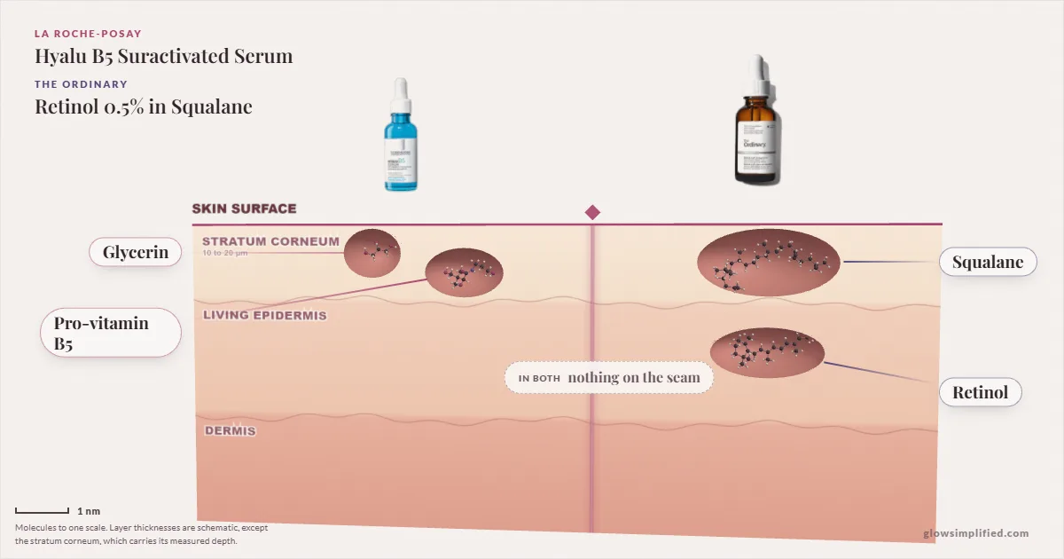 La Roche-Posay Hyalu B5 Suractivated Serum and The Ordinary Retinol 0.5% in Squalane: their molecules drawn in one cross-section of skin, shared ingredients on the seam
