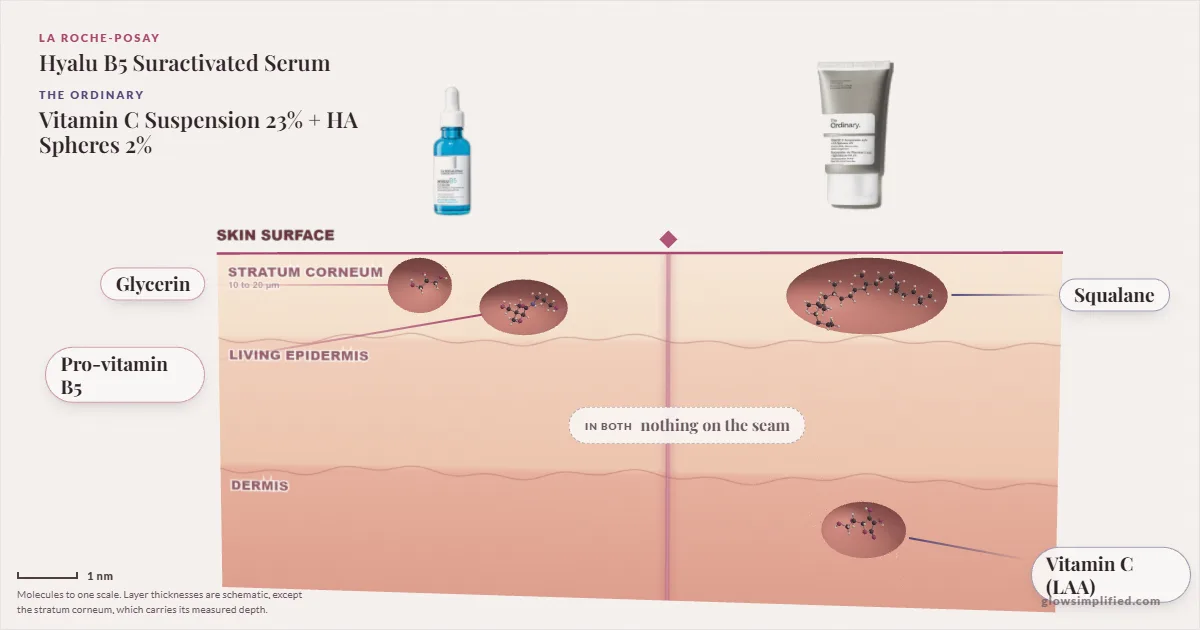 La Roche-Posay Hyalu B5 Suractivated Serum and The Ordinary Vitamin C Suspension 23% + HA Spheres 2%: their molecules drawn in one cross-section of skin, shared ingredients on the seam