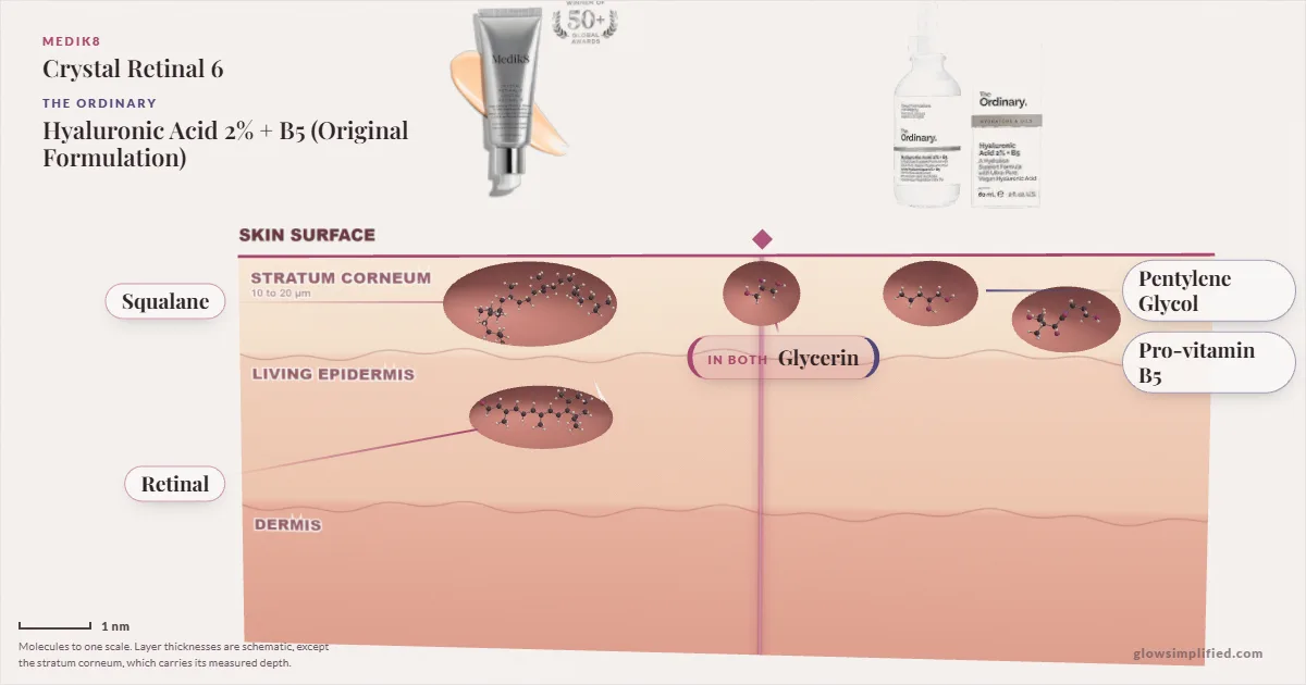Medik8 Crystal Retinal 6 and The Ordinary Hyaluronic Acid 2% + B5 (Original Formulation): their molecules drawn in one cross-section of skin, shared ingredients on the seam