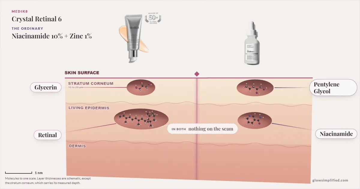 Medik8 Crystal Retinal 6 and The Ordinary Niacinamide 10% + Zinc 1%: their molecules drawn in one cross-section of skin, shared ingredients on the seam
