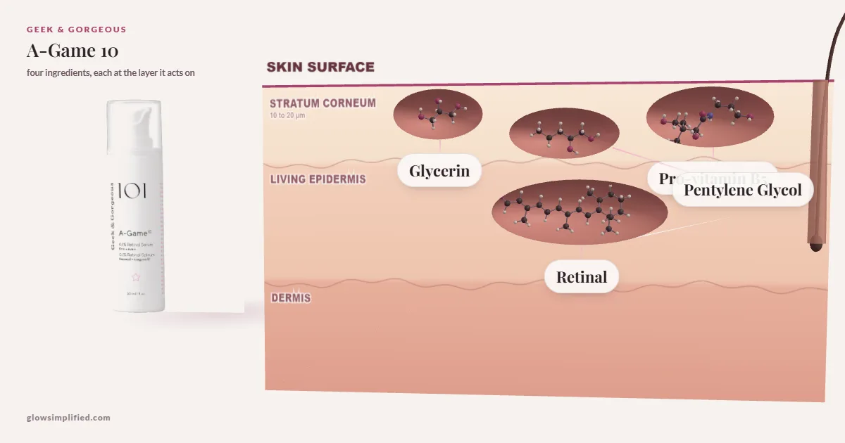 Geek & Gorgeous A-Game 10: Glycerin, Pentylene Glycol, Pro-vitamin B5, Retinal drawn in a cross-section of skin, each at the layer it acts on