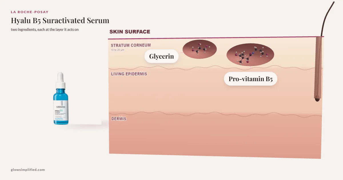 La Roche-Posay Hyalu B5 Suractivated Serum: Glycerin, Pro-vitamin B5 drawn in a cross-section of skin, each at the layer it acts on