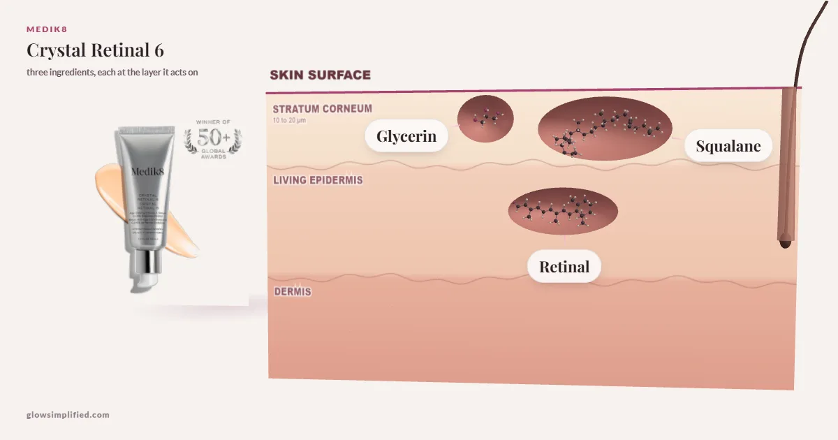 Medik8 Crystal Retinal 6: Glycerin, Squalane, Retinal drawn in a cross-section of skin, each at the layer it acts on